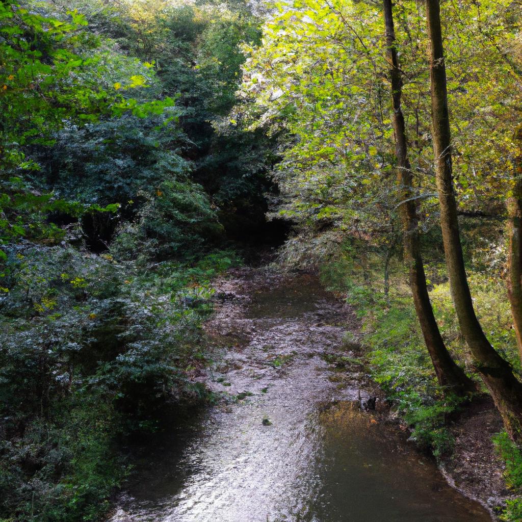 The tranquil stream running through the forest adds to the peacefulness of the environment.