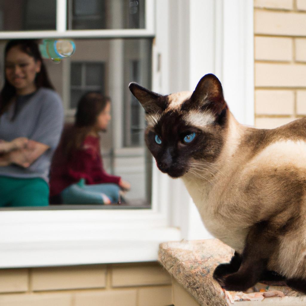 Siamese cats are intelligent and curious, making them great companions for families with older children who can appreciate their lively personalities