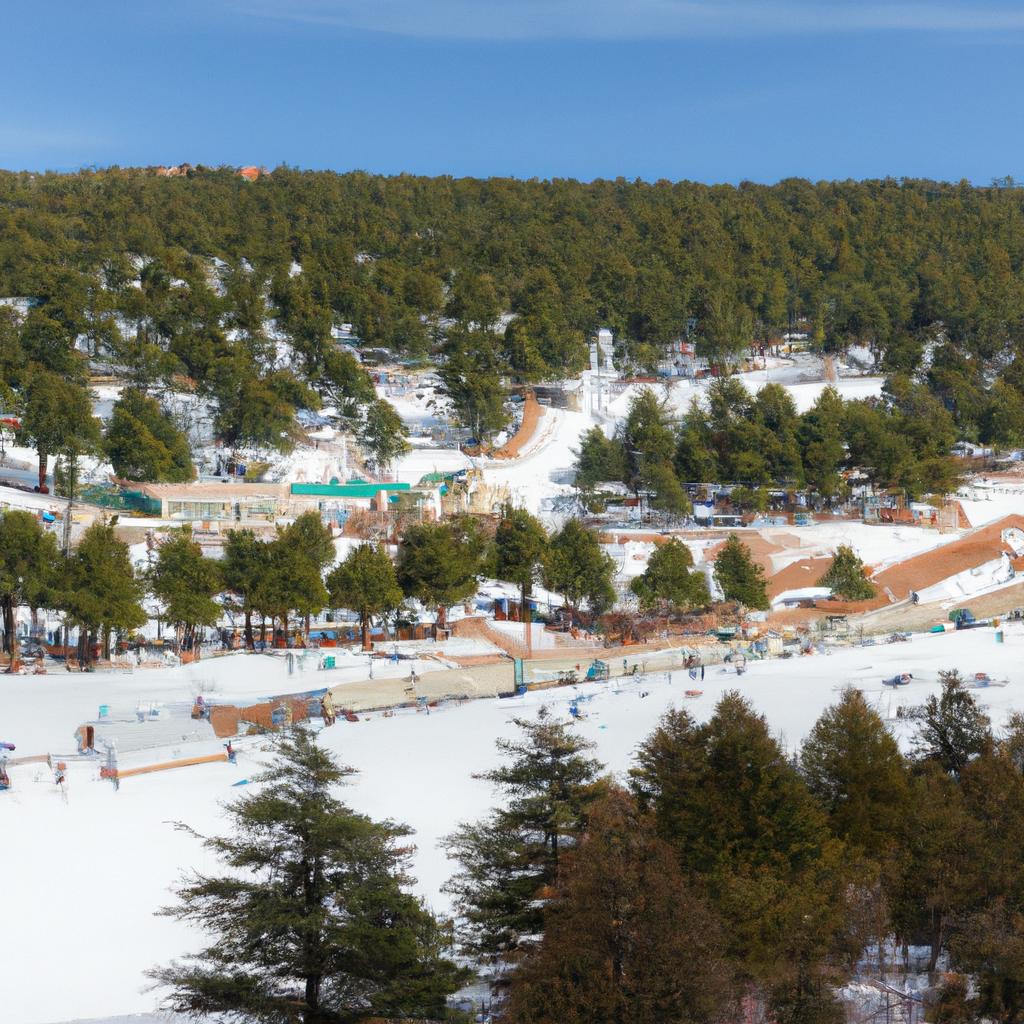 Hit the slopes at a picturesque ski resort surrounded by pine trees in Ifrane, Morocco.