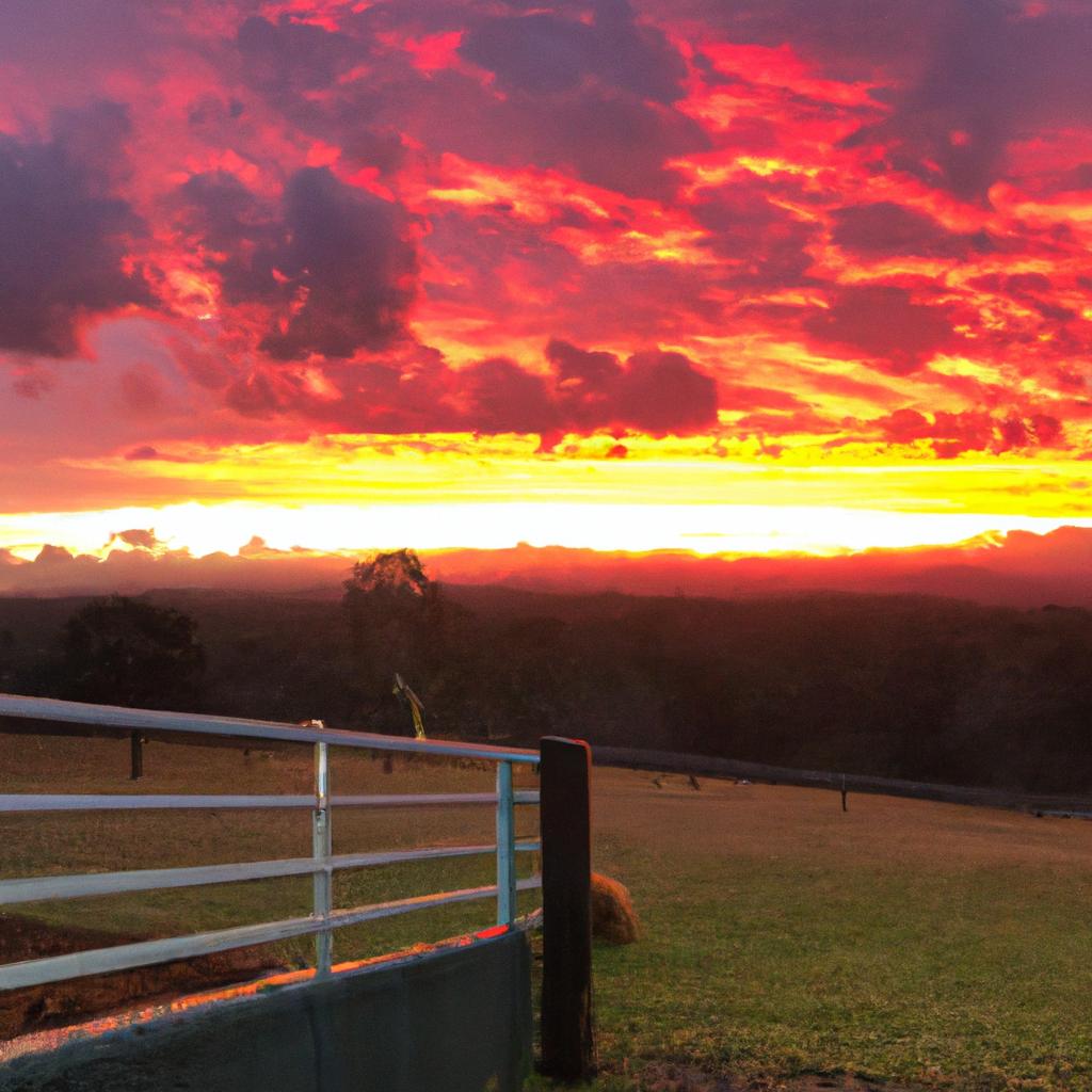 Experience a breathtaking sunset view from Gibbs Farm