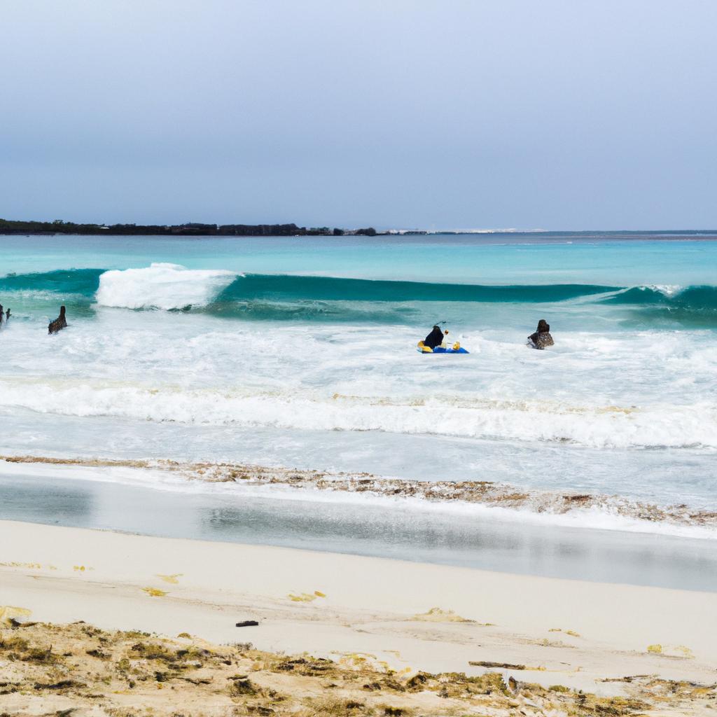 Experience the thrill of surfing on the waves of Galapagos Island beaches