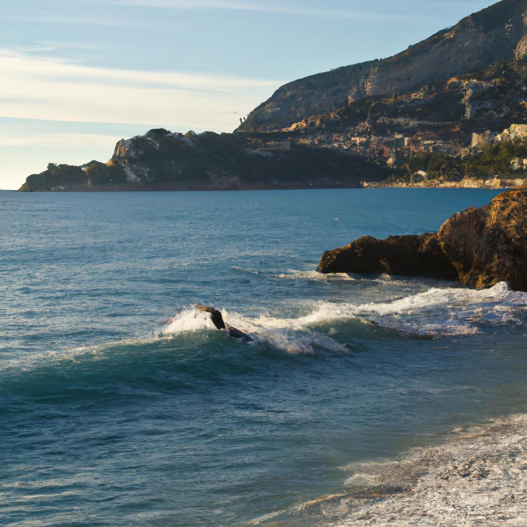 Surfing Monaco