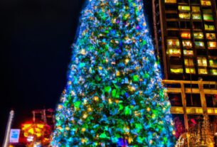 Tallest Christmas Tree In The World Guinness Record