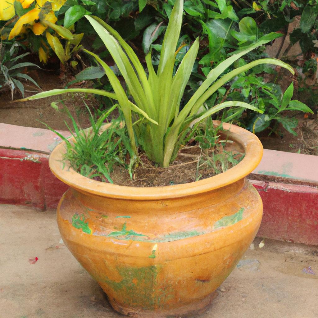 A gorgeous terracota planter filled with lush green plants that add a touch of nature to any space