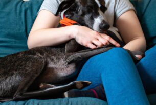 The Benefits Of Adopting A Shelter Pet