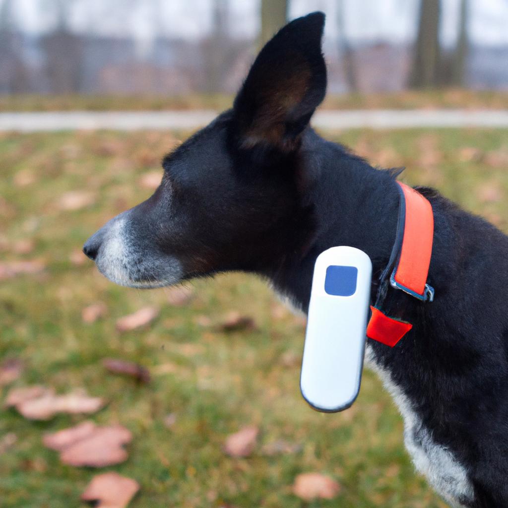 The Best GPS Tracking Devices For Your Pet