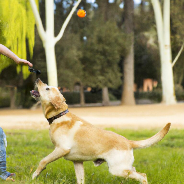 The Most KidFriendly Dog Breeds TooLacks