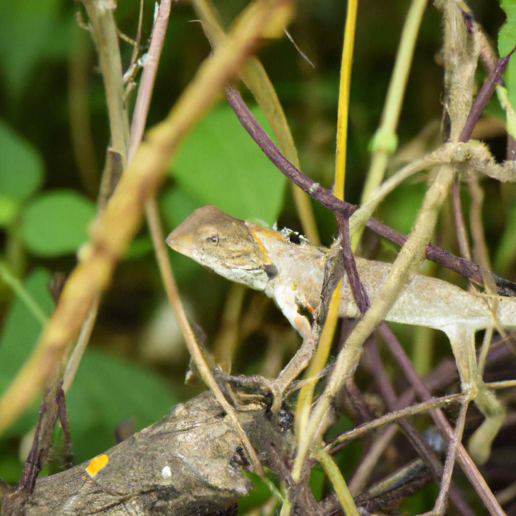 The Most Unique Reptile Species