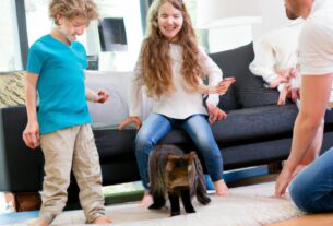 The Top 10 Cat Breeds For Families With Kids