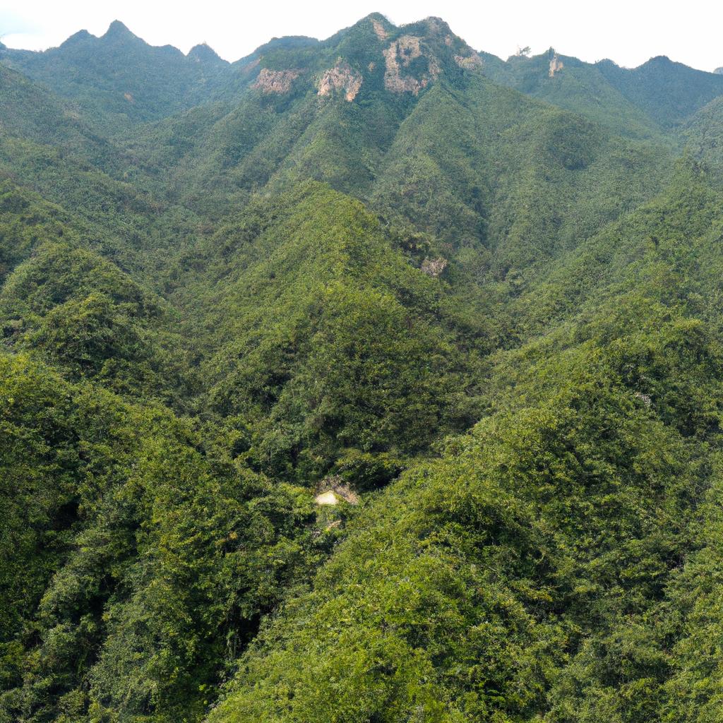 The stunning aerial view of the lush greenery surrounding Tian Men Shan mountain