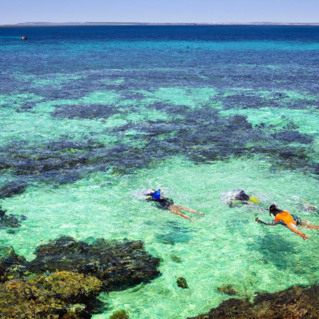 Snorkeling in the crystal-clear waters of Howe Island Australia is an unforgettable experience