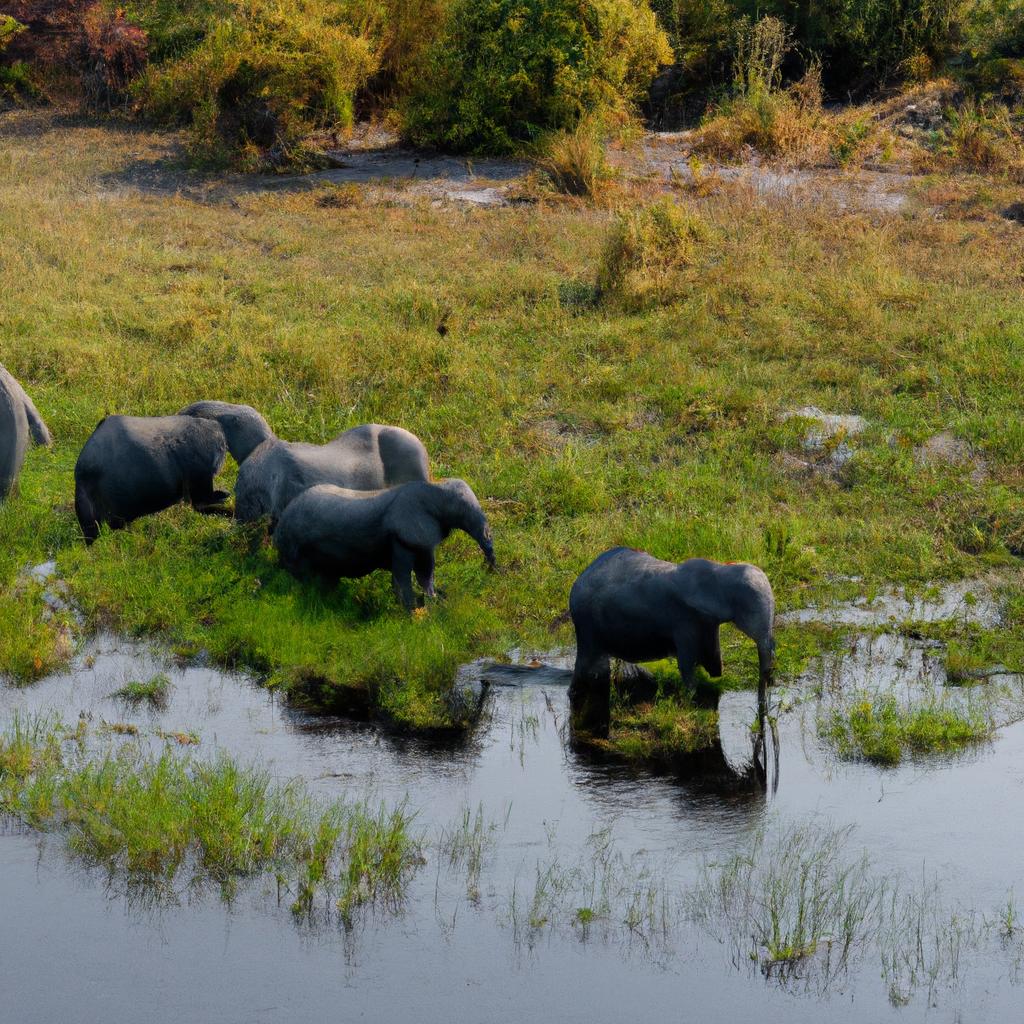 Travel, Okavango Delta, Botswana