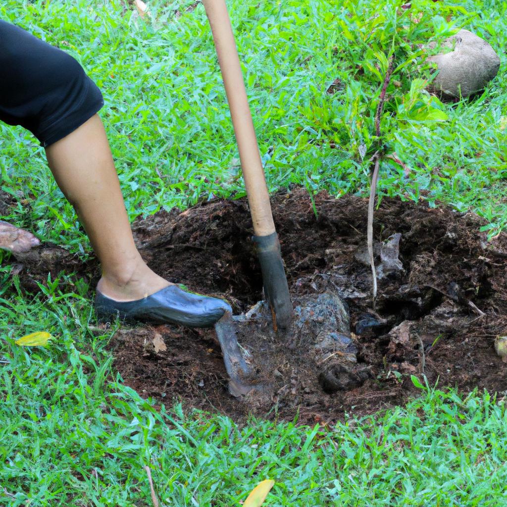 Planting a tree sapling is a simple DIY project that can enhance the beauty and environmental value of your garden.