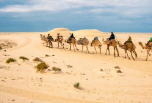 Tunisian Desert