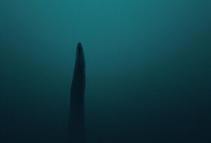 Underwater Finger Of Death