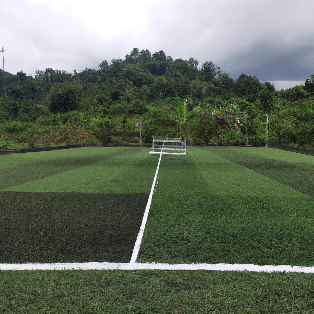 A soccer pitch that seamlessly merges with its surroundings