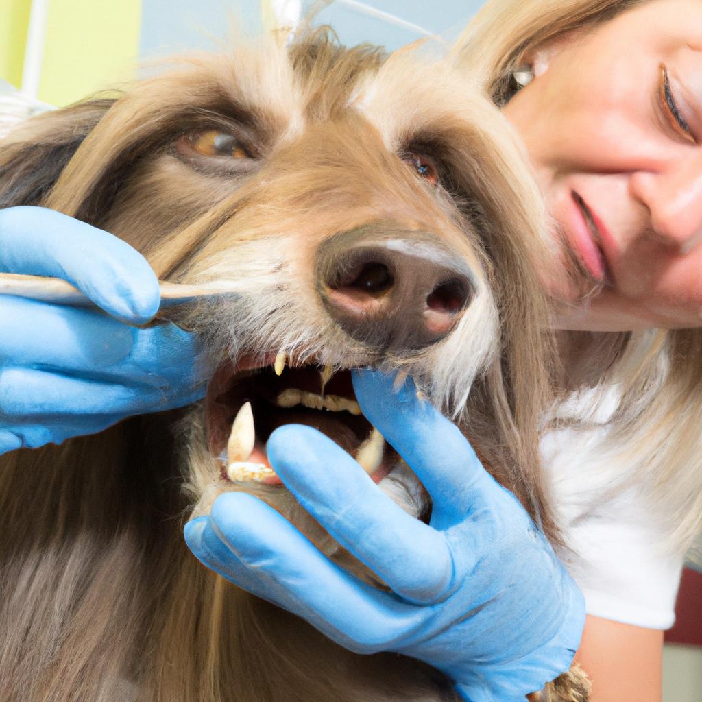 Regular dental check-ups are important for maintaining your pet's oral health