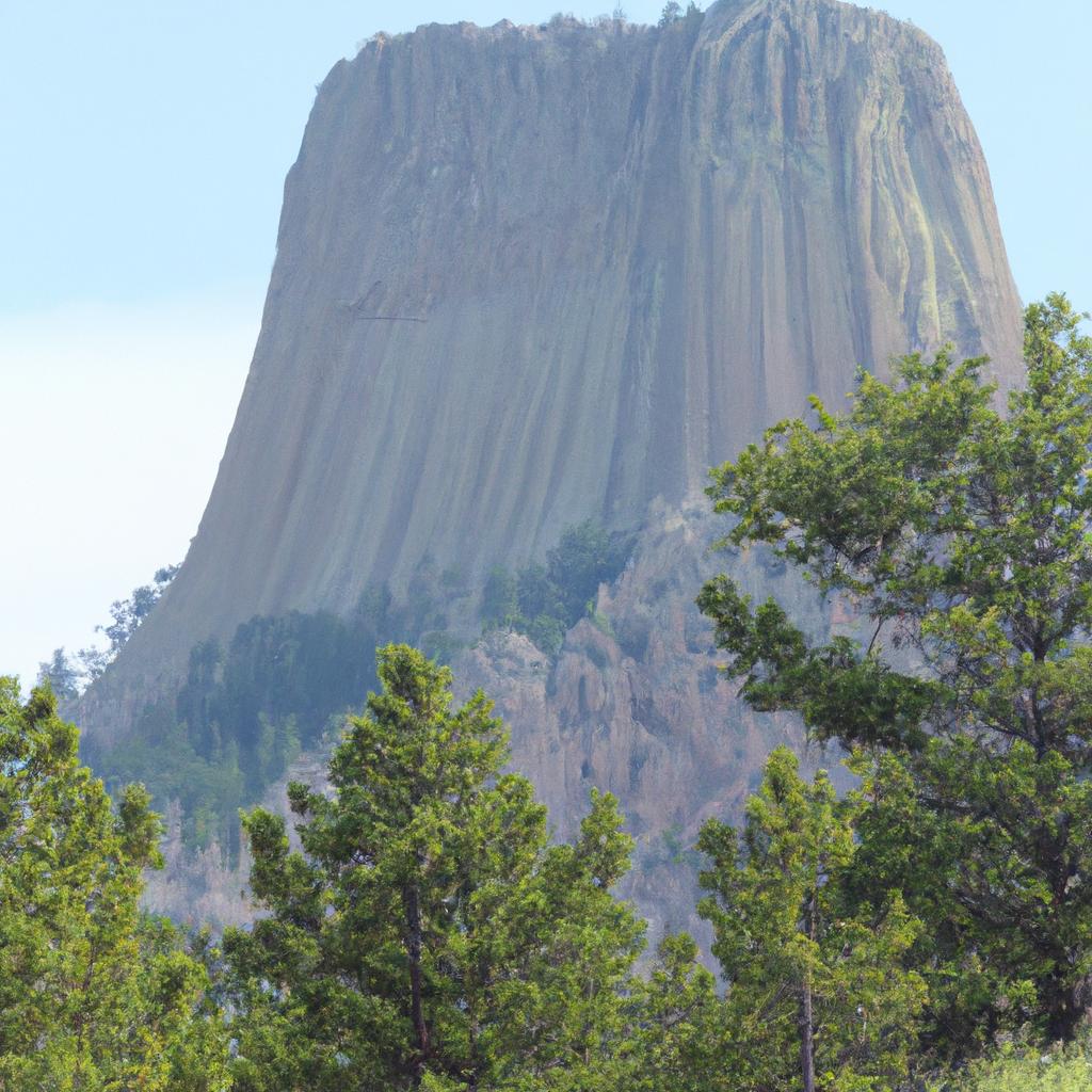 The area around Devils Tower is home to a diverse range of plant and animal life, making it a popular destination for nature lovers.