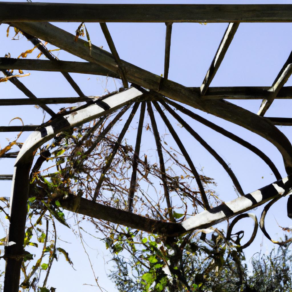 A classic wrought iron arbor with vines