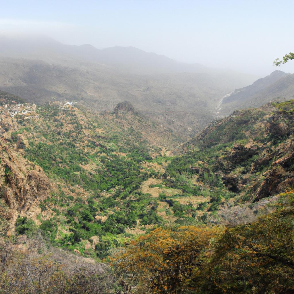 A valley filled with trees in Yemen.
